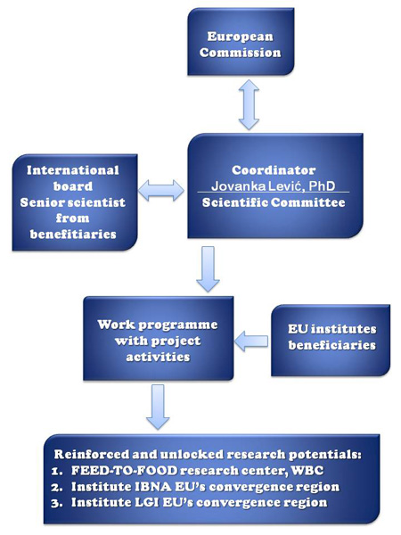 management structure